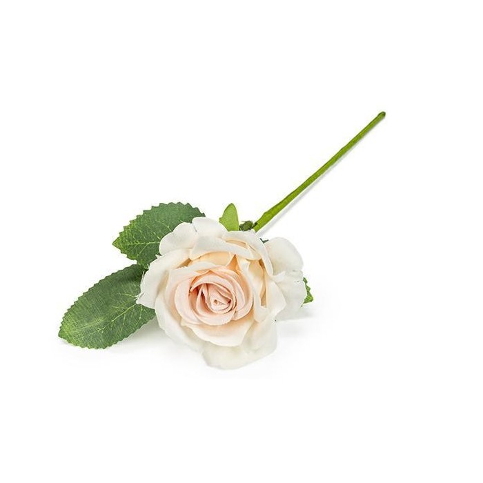 ROSA CON FOGLIE CIPRIA